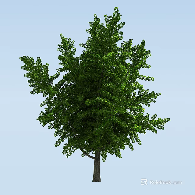 Green Leafy Tree with Lush Foliage and Strong Trunk Against Clear Blue Sky 3d model 