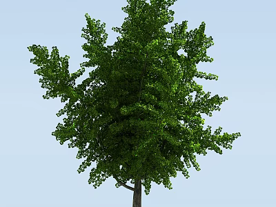 Green Leafy Tree with Lush Foliage and Strong Trunk Against Clear Blue Sky 3d model
