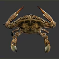 Colorful Spotted Crab With Patterned Shell And Large Claws As Aquatic Marine Creature