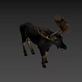 A Majestic Moose With Large Antlers Standing On White Background