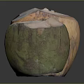 Fresh Tropical Coconuts Featuring Whole Brown And Halved Yellow Green Fruits