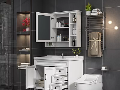 Modern Bathroom Interior With Black Tile Walls White Vanity Open Mirror Cabinet And Toilet 3d model