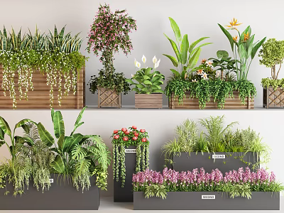 Beautiful Plant Combination With Various Green And Flowering Plants In Wooden Boxes And Pots 3d model