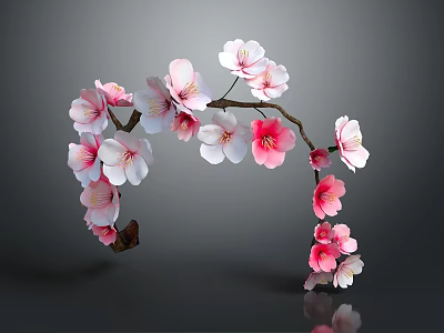 Pink and White Cherry Blossom Branch Featuring Delicate Flowers and Curved Twigs 3d model