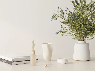 Minimalist Decorative Ornament Set With White Vases Reed Diffuser Books Bowl And Green Plant 3d model