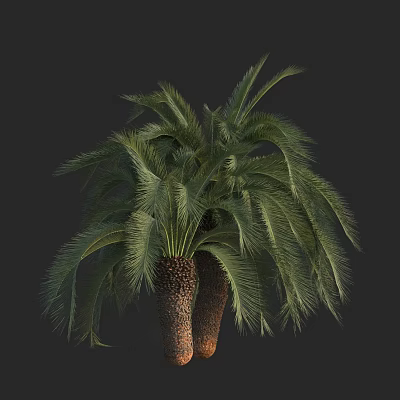 Modern Cybol Moore Great Cybol Australia Moore Great Cybol Australia National Treasure Iron Tree Shrub 3d model