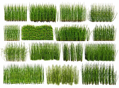 Wooden Pieb Landscape Grass Courtyard Flower Mirror Plant Landscape Grass 3d model