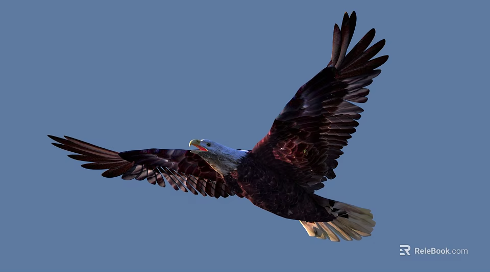 Majestic Bald Eagle Soaring With Outstretched Wings Against Clear Blue Sky 3d model 