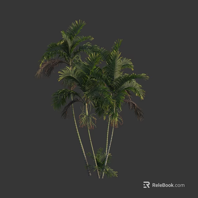 Lush Green Palm Trees With Tall Trunks And Vibrant Fronds In Clear View 3d model 
