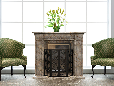 European Fireplace Combo model