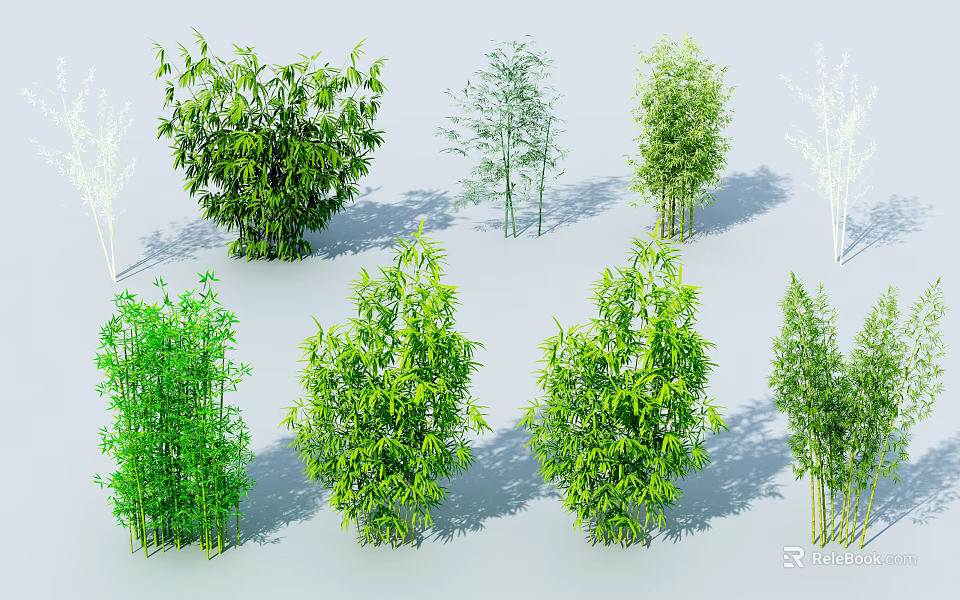 Various Green Bamboo Plants With Lush Foliage And Different Growth Forms 3d model