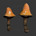 Two Orange Mushrooms With White Spots And Stems On Dark Background