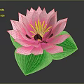 Blooming Pink Lotus Flower with Vibrant Yellow Stamens and Fresh Green Leaves