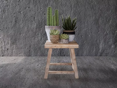 Various Potted Succulents And Cacti On Wooden Stool Against Gray Textured Wall 3d model