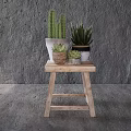 Various Potted Succulents And Cacti On Wooden Stool Against Gray Textured Wall