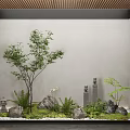 Indoor Zen Garden Plant Combination With Trees Ferns Stones And Lanterns