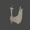 Game Movie Character White Jawbone Skeleton Model With Teeth Structure On Black Background