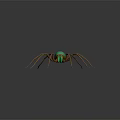 Colorful Spider With Green Body And Orange Legs On Black Background With Reflection
