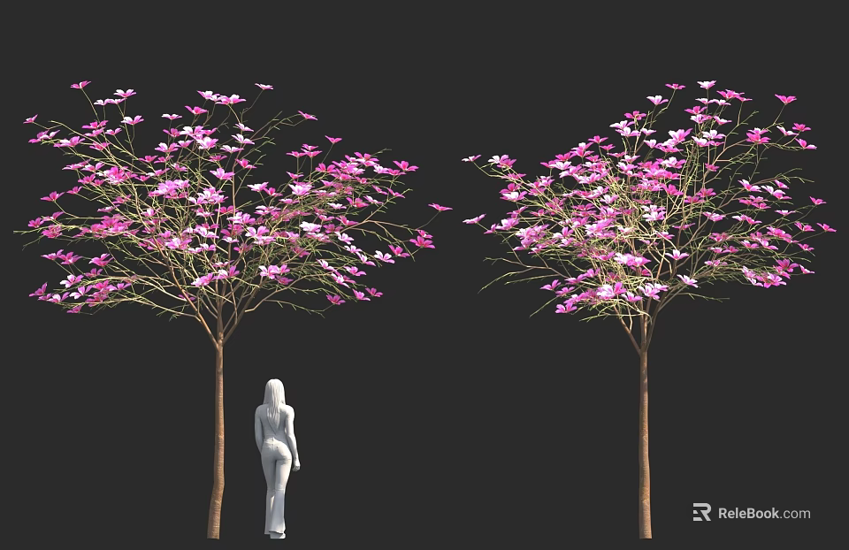 Silhouette of White Human Figure Between Two Pink Flowering Trees on Black Background 3d model 