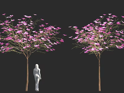 Silhouette of White Human Figure Between Two Pink Flowering Trees on Black Background 3d model
