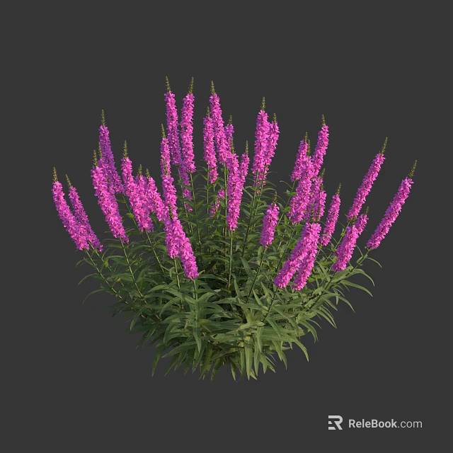 Vibrant Purple Flowers With Green Leaves Growing In Lush Clusters 3d model 