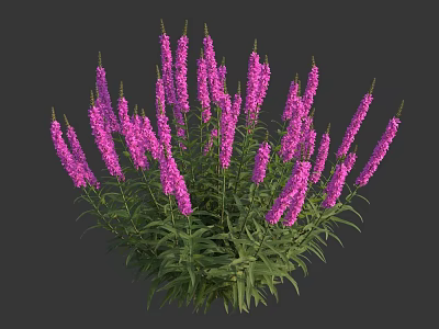 Vibrant Purple Flowers With Green Leaves Growing In Lush Clusters 3d model
