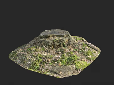 Natural Garden Landscape Featuring Tree Stump With Moss And Green Vegetation 3d model