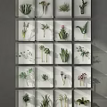 Modern Interior Decor With Grid Framed Green Plants On Gray Wall And Light Gray Sofa