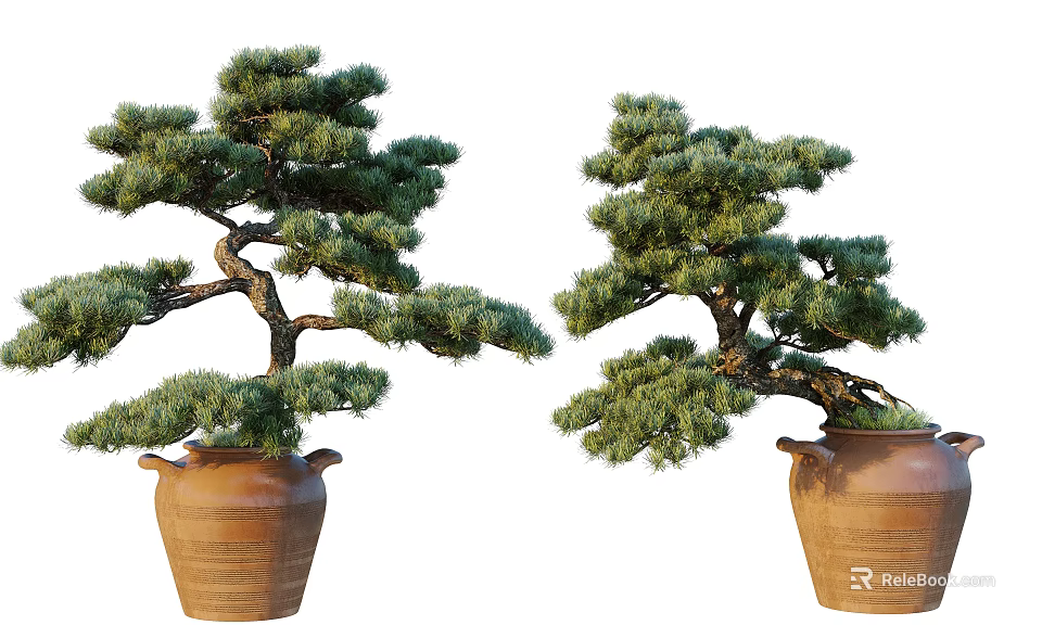 Elegant Bonsai Pine Trees in Brown Clay Pots with Curved Branches and Lush Green Foliage 3d model 