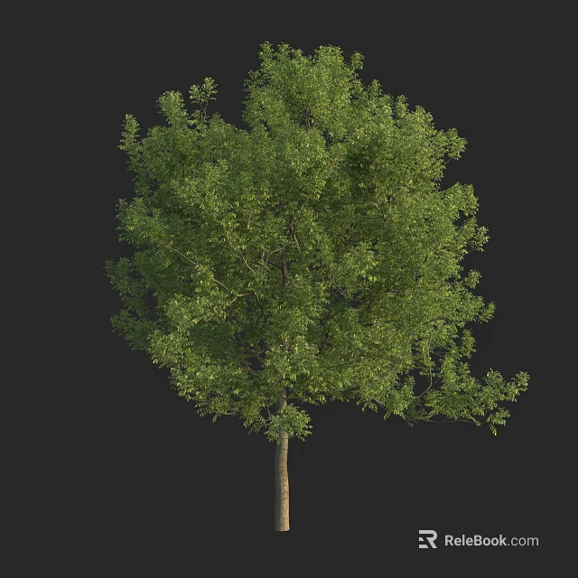 Lush Green Arbor With Dense Foliage And Strong Trunk In Natural Growth 3d model 