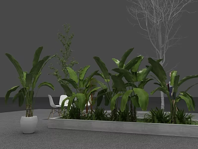 Large Potted Tropical Green Plants In White Pot And Rectangular Planter With Gray Carpet 3d model