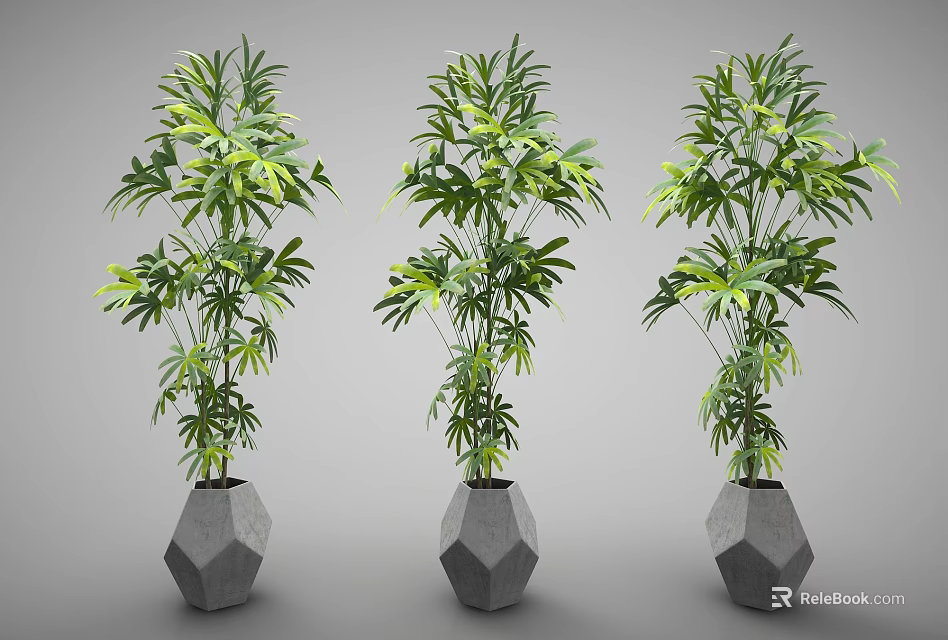 Tall Green Leafy Potted Plants With Polygonal Gray Pots For Indoor Decor 3d model 