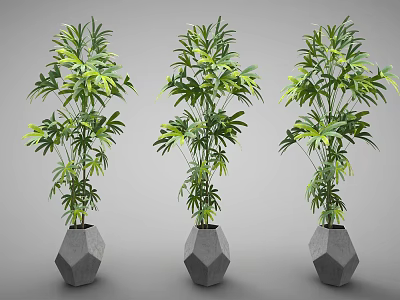 Tall Green Leafy Potted Plants With Polygonal Gray Pots For Indoor Decor 3d model