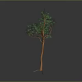 3D Rendered Tree With Orange Trunk And Green Foliage In Gray Background