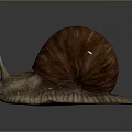 Snail With Brown Spiral Shell And Light Brown Body On Dark Background 3d model