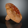 Modern Mushroom Straw Mushroom Shiitake 3d model