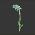 Single Blue Flower Plant With Green Stem And Leaves On Dark Background