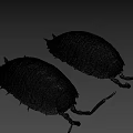 Two Brown Segmented Pill Bugs With Long Antennae On Gray Surface 3d model
