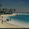 Hinged Door Design For Beachfront Property With Palm Trees And Ocean View