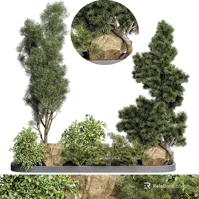 Tall Arbor Trees With Rocks And Small Plants In Garden Landscape 3d model 