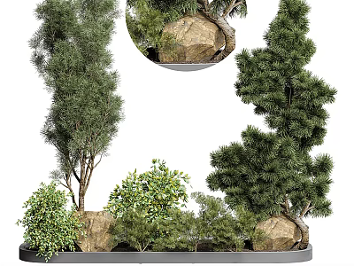 Tall Arbor Trees With Rocks And Small Plants In Garden Landscape 3d model