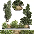 Tall Arbor Trees With Rocks And Small Plants In Garden Landscape