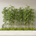 Bamboo 3d model