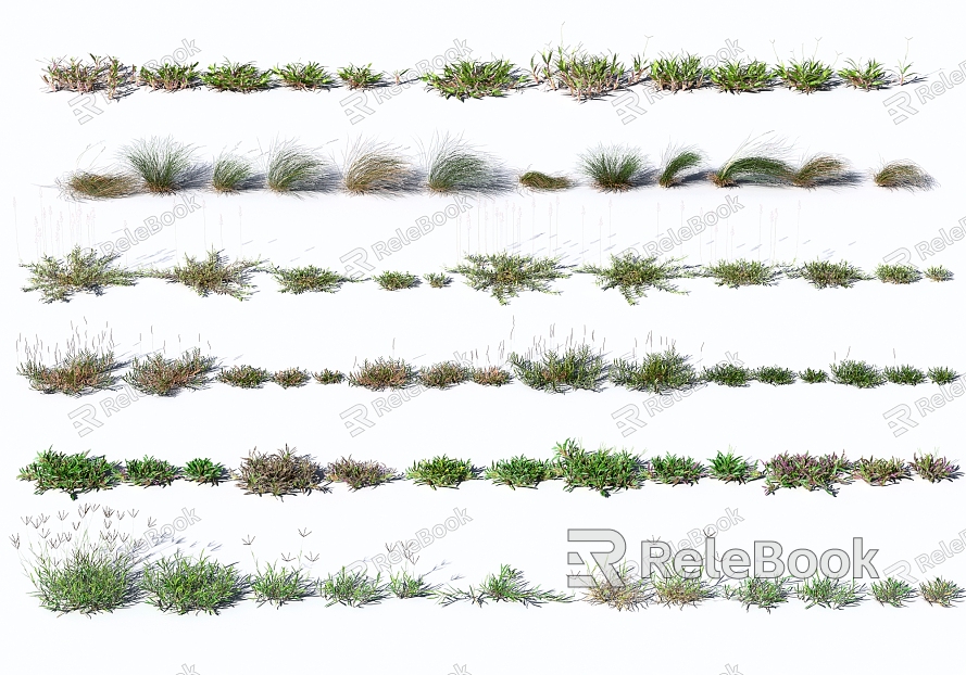 modern grass plants flowers model