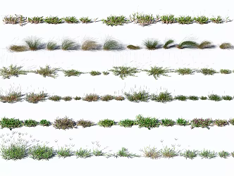 modern grass plants flowers 3d model