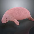 Gentle Pink Manatee A Unique Aquatic Animal With Soft Skin And Marine Habitat