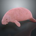 Manatee Beautiful Manatee Sea Animal Fish Freshwater Fish Sea Fish Animal Game Animal Cartoon Animal 3d model