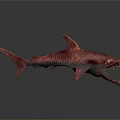 Red Shark Model With Open Mouth Sharp Teeth On Gray Background