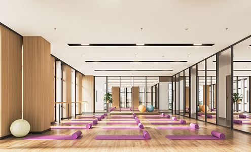 Modern Yoga Room Yoga Room Yoga Room Fitness Room Exercise Room Gym Pilates Exercise Room Yoga Mat Hanging Rope 3d model