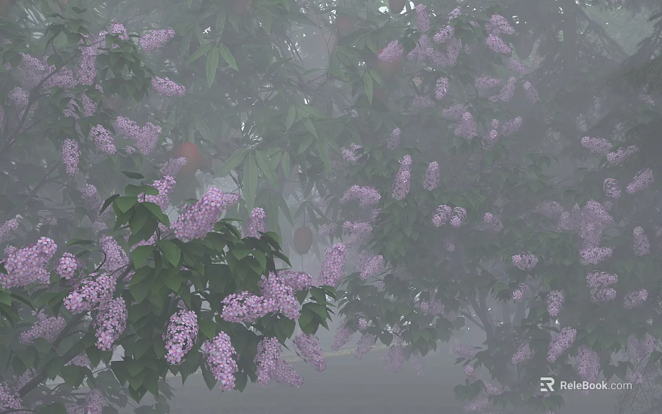 Flowering Tree With Purple Blossoms Green Leaves In Misty Morning Atmosphere 3d model 
